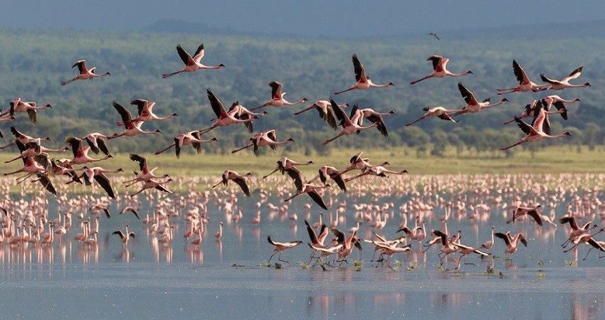4-Day Ngorongoro & Lake Manyara