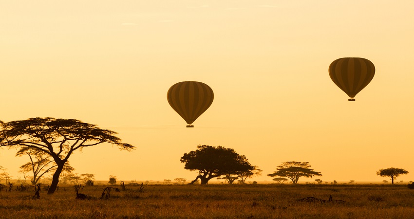 Serengeti Safari 5