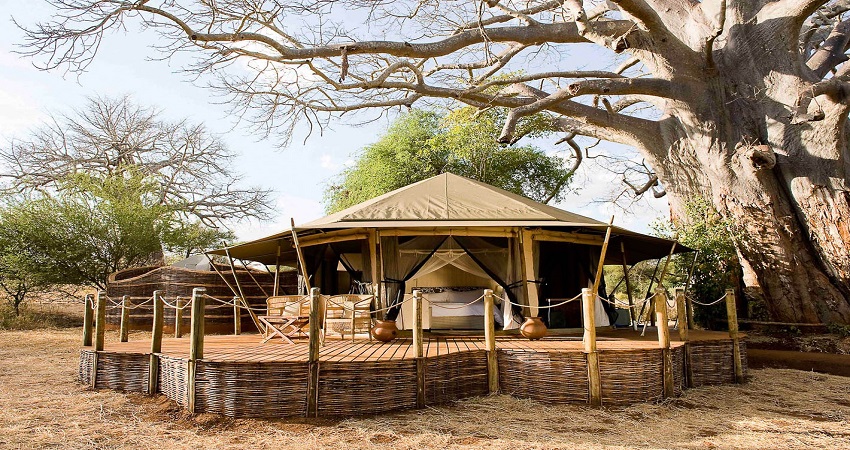 Tarangire Hotel
